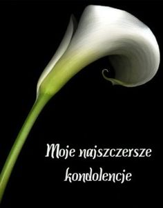 Biały kwiat najszczersze kondolencje